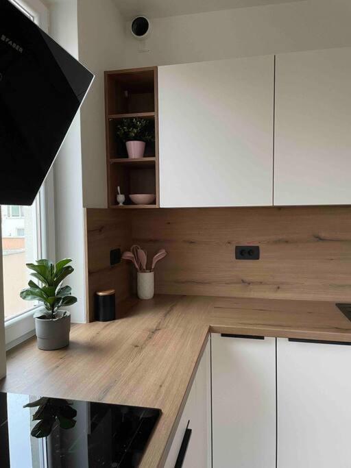 Mely Rose Apartment Любляна Екстериор снимка