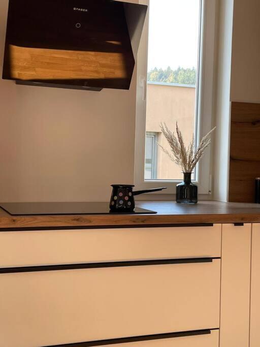 Mely Rose Apartment Любляна Екстериор снимка